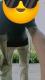 View Gay Profile Picture